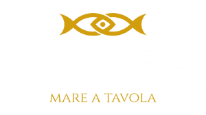 Logo MAREA