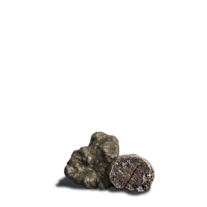 White Truffle - Tuber Magnatum Pico
