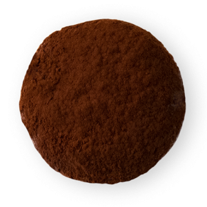 IVORY COAST GHANA CHOCOLATE MOCHI ICE CREAM DUSTED WITH COCOA
 