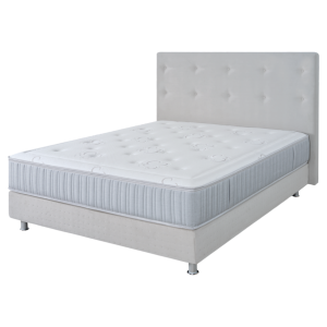 Testeur Nebula Sommier Vega