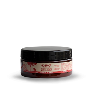 RESTRUCTURE NATURELLE MASQUE