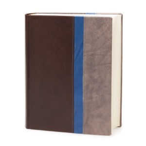 Journal Triade