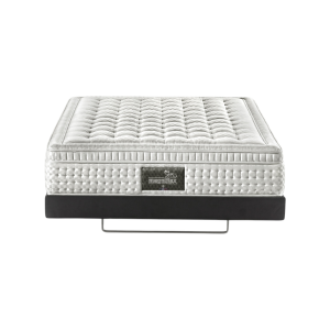 Maestro Dual 14