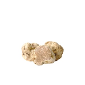 White Fresh Truffle