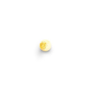 Logo AMIAMOCHI
