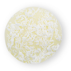 COCONUT MOCHI ICE CREAM WITH COCONUT FLAKES
 