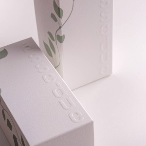 Packaging in cartone