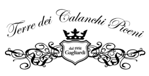 Logo TERRE DEI CALANCHI PICENI