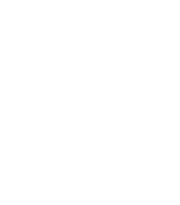 Logo Noesis