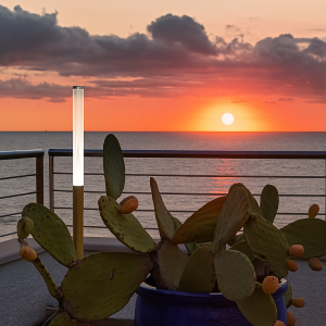 ZED lampada piantana da terra