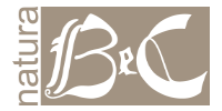 Logo BEC NATURA