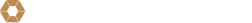Logo CASPANI TINO GROUP